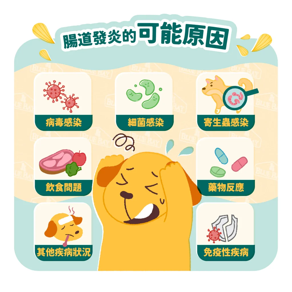 【腸道發炎的原因】