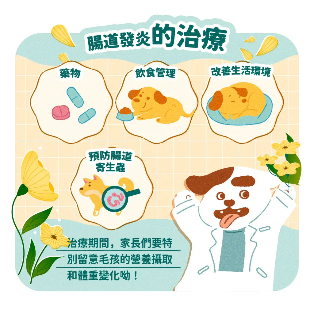 【腸道發炎的治療及預後】