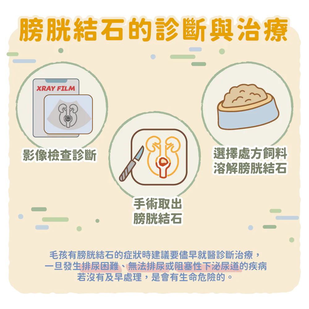 【膀胱結石的臨床症狀】