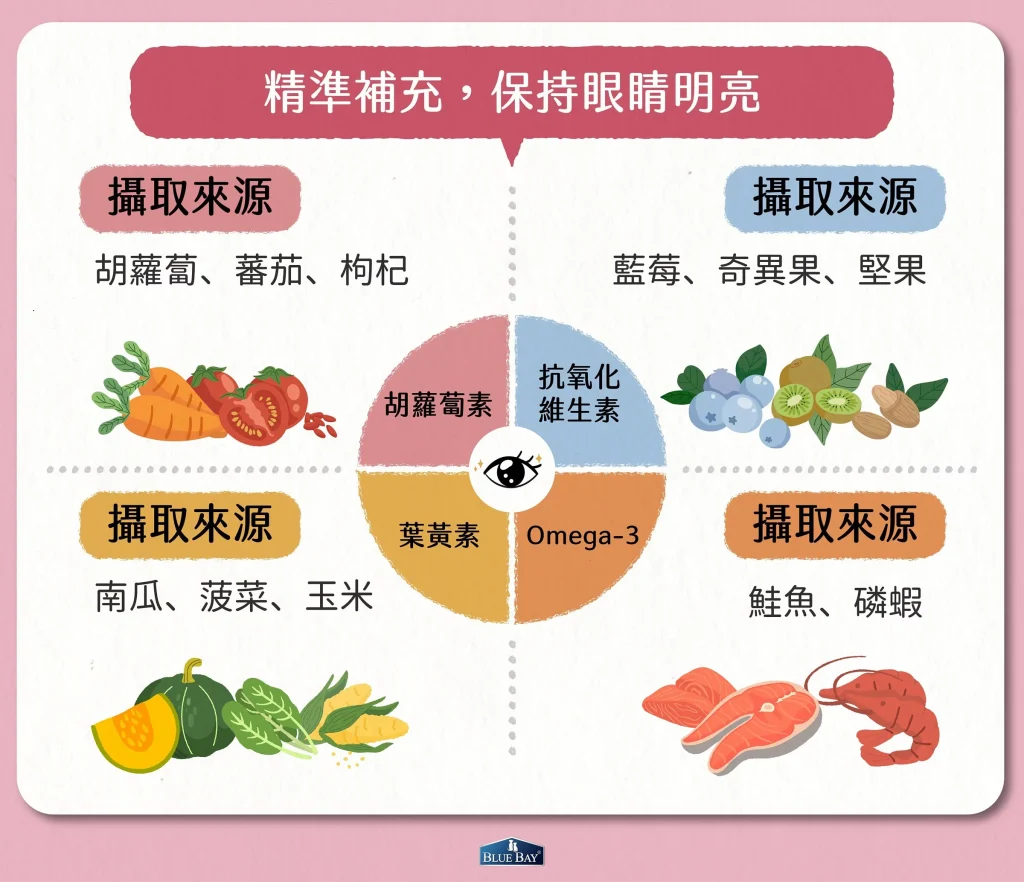 【補充4大營養素 掌握毛孩護眼關鍵】
