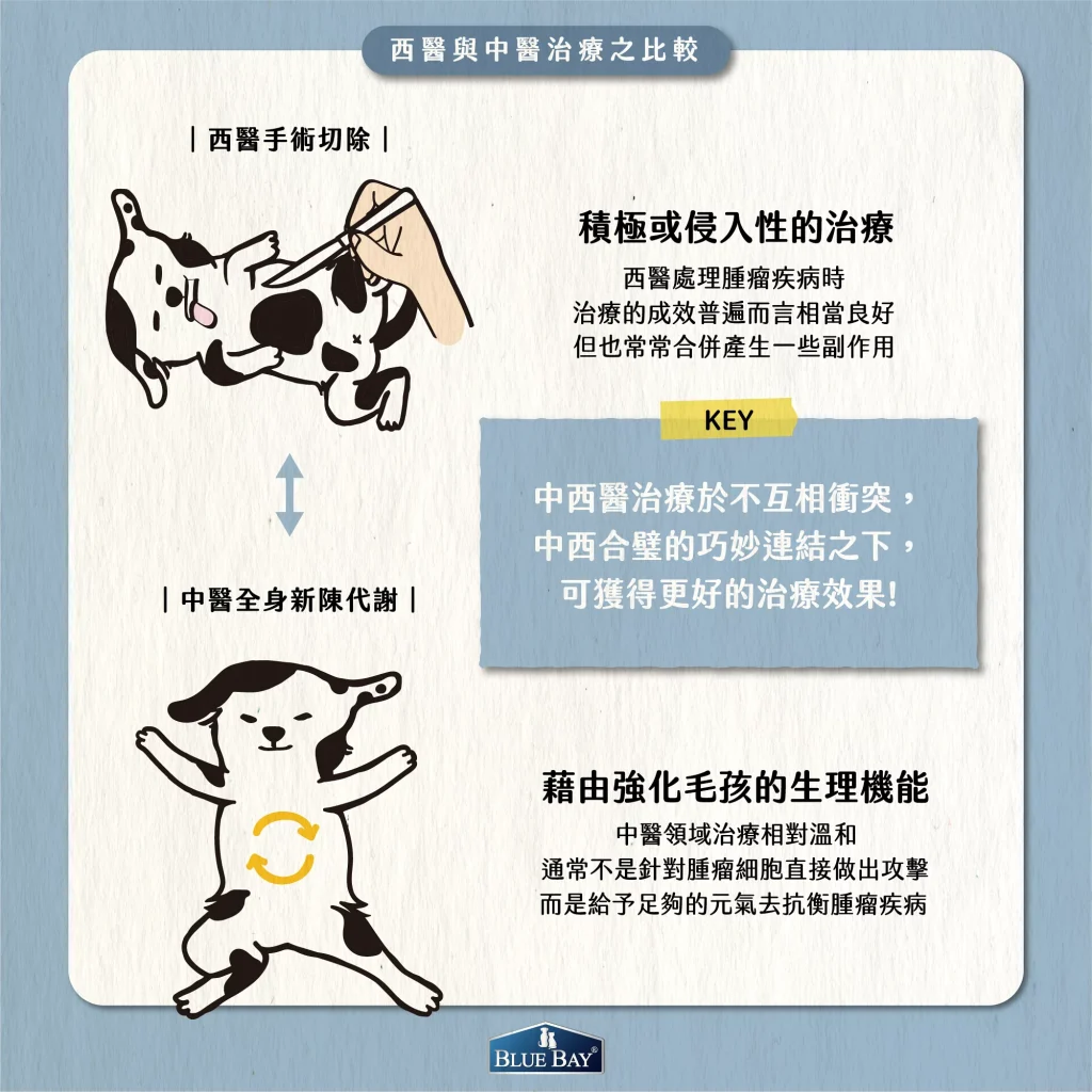 【西醫與中醫治療之比較】