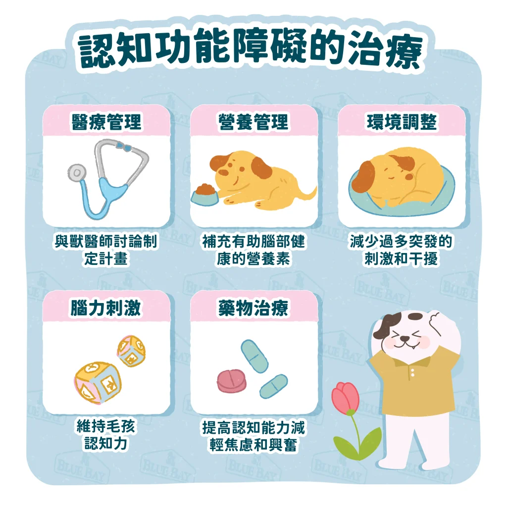 【認知功能障礙的治療】