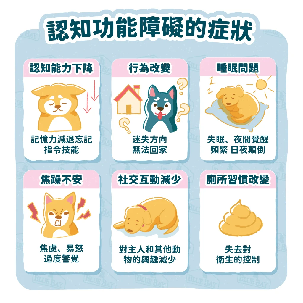 【認知功能障礙的症狀】