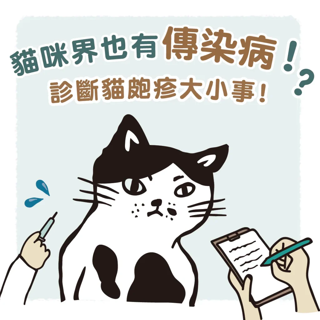 【貓皰疹病毒感染】