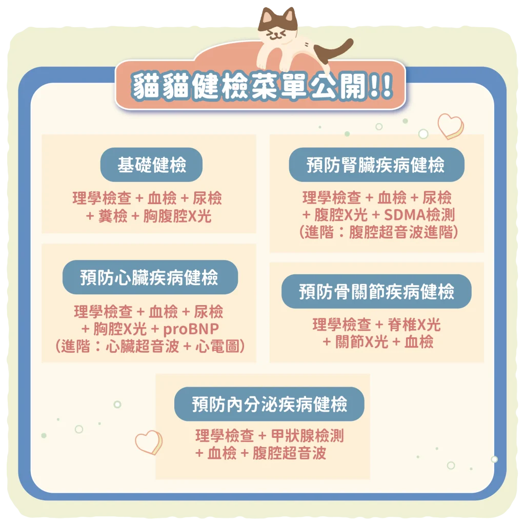 【貓貓健檢菜單大公開，拔麻可以這樣安排】