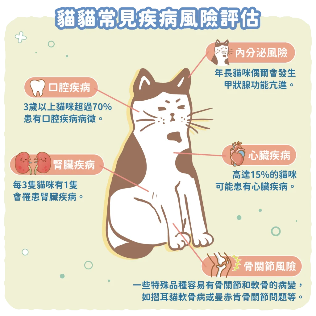 【貓貓的特殊檢查項目】