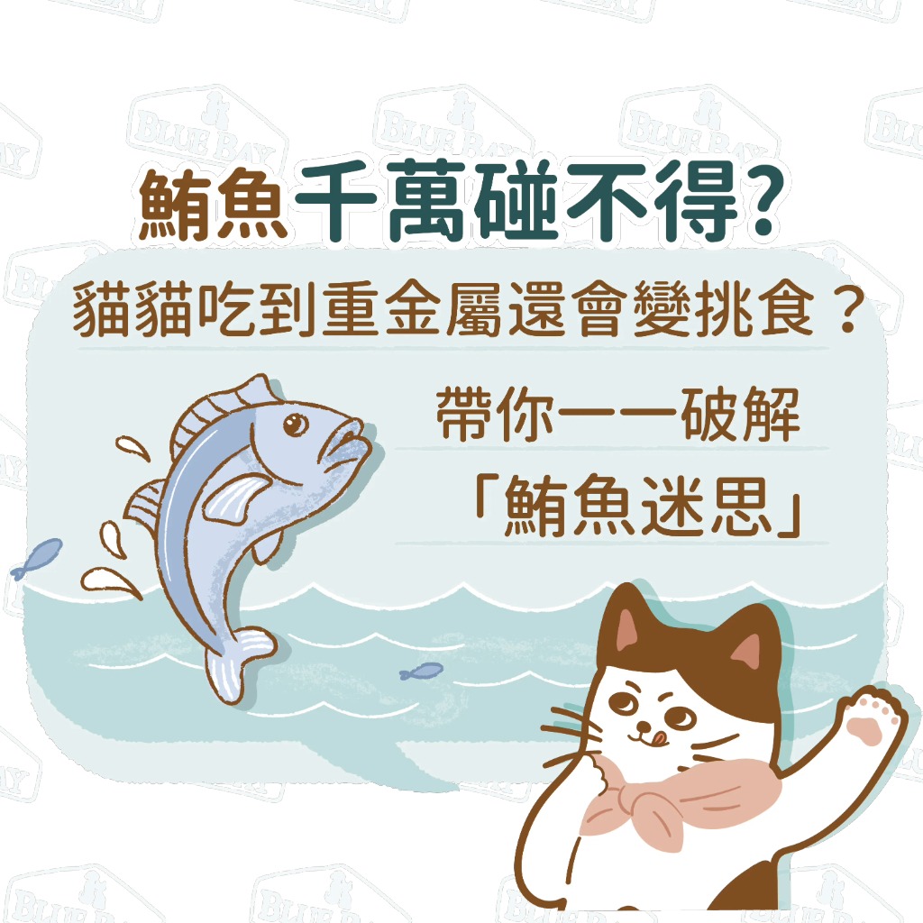 【迷思破除】鮪魚千萬碰不得，貓貓吃到重金屬還會變挑食？帶你破解鮪魚迷思！