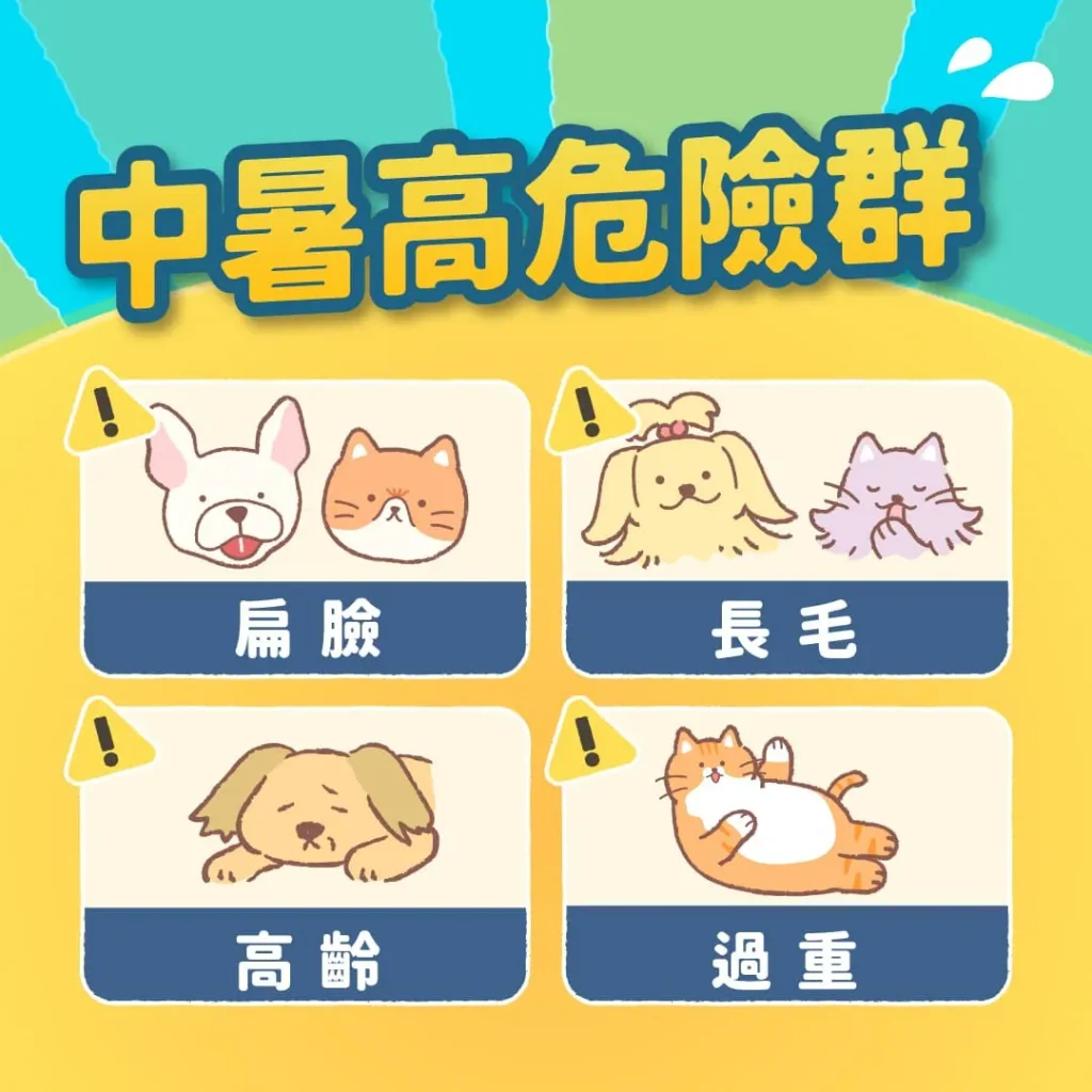 【這些狗貓是熱衰竭危險群】