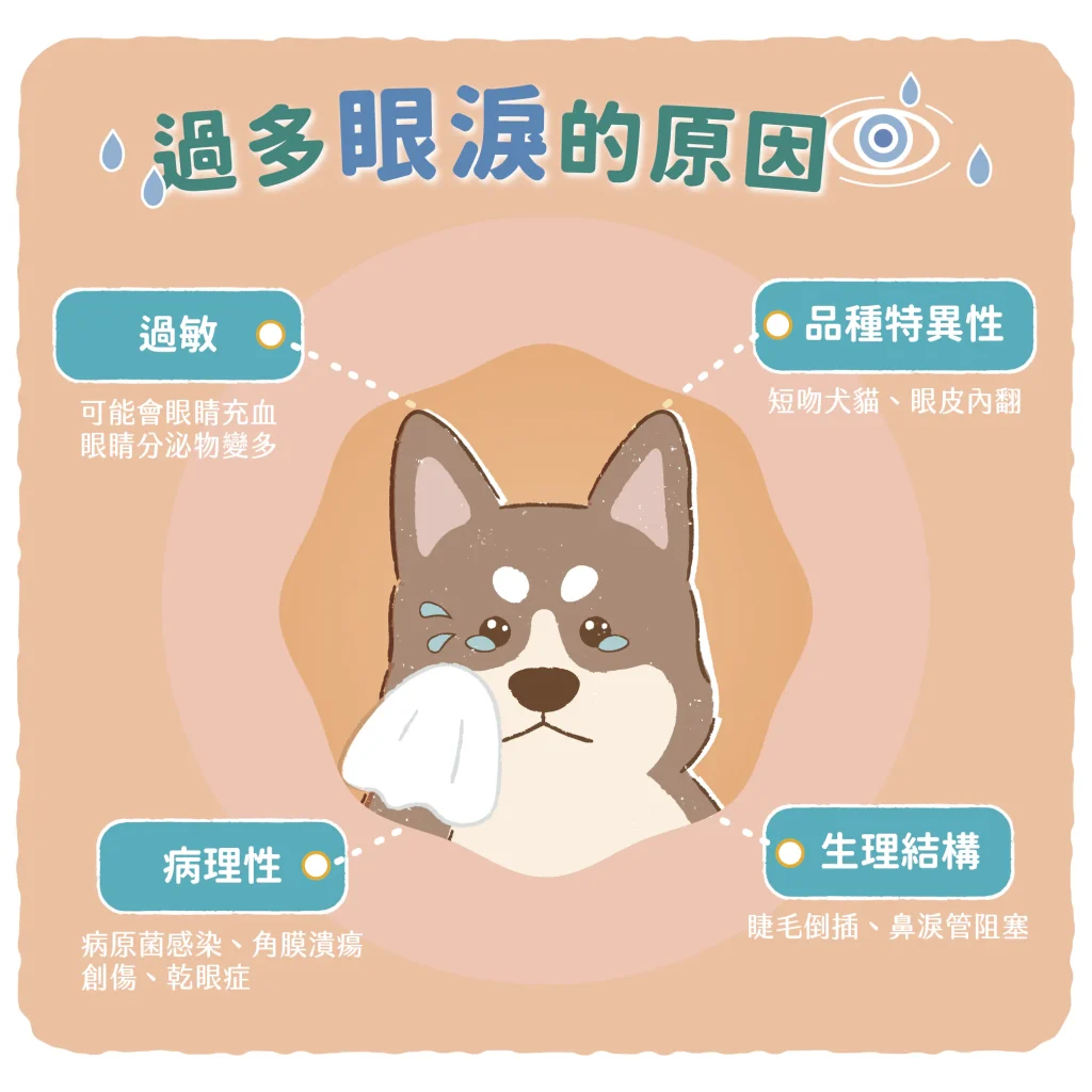 【造成過多眼淚的原因】