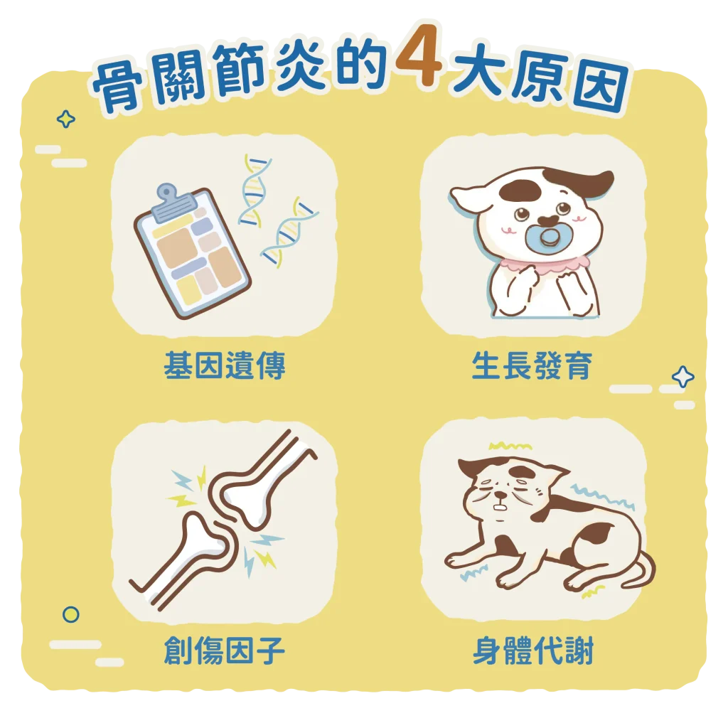 【造成骨關節炎的原因有哪些？】