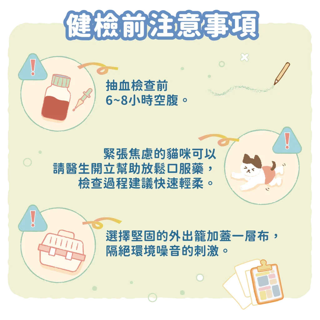 【關於貓貓健檢的四個注意事項】