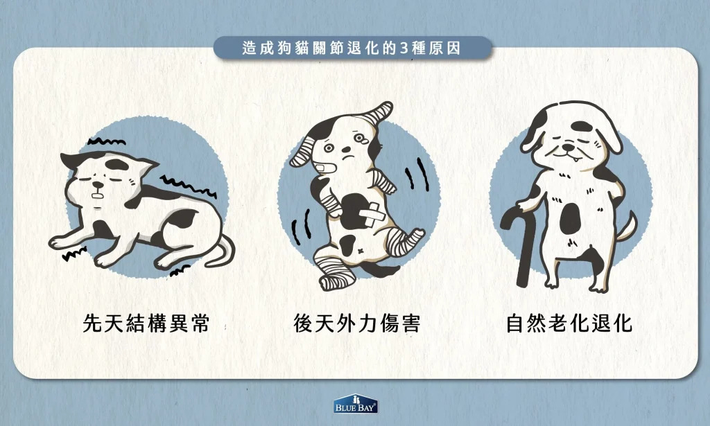 【關節退化的原因】