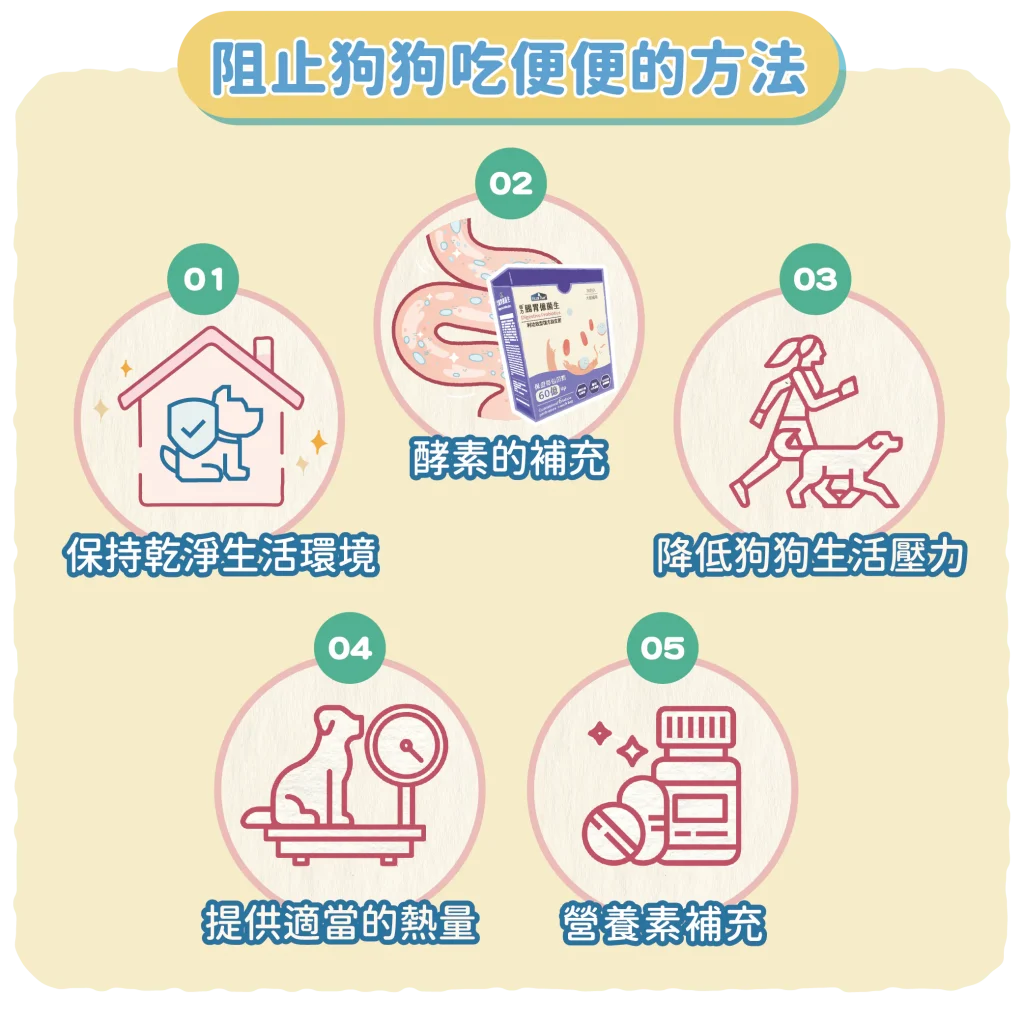 【阻止狗狗吃便便的方法】