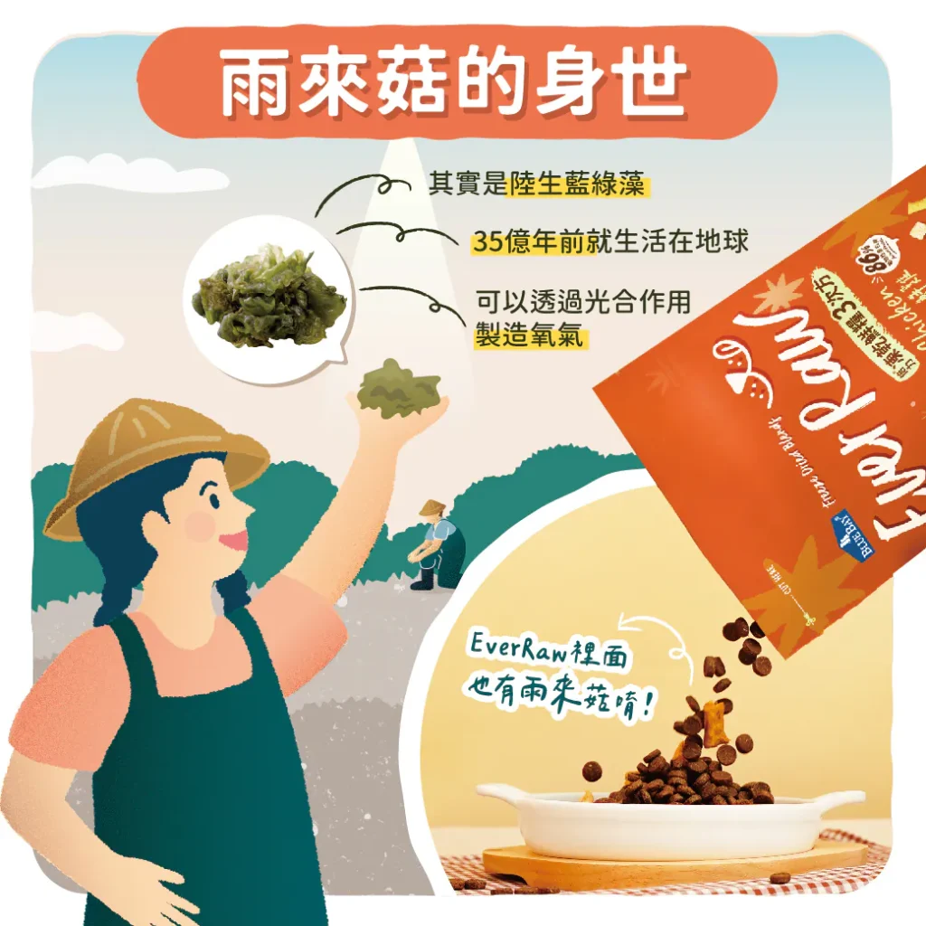 【雨來菇的35億年身世】