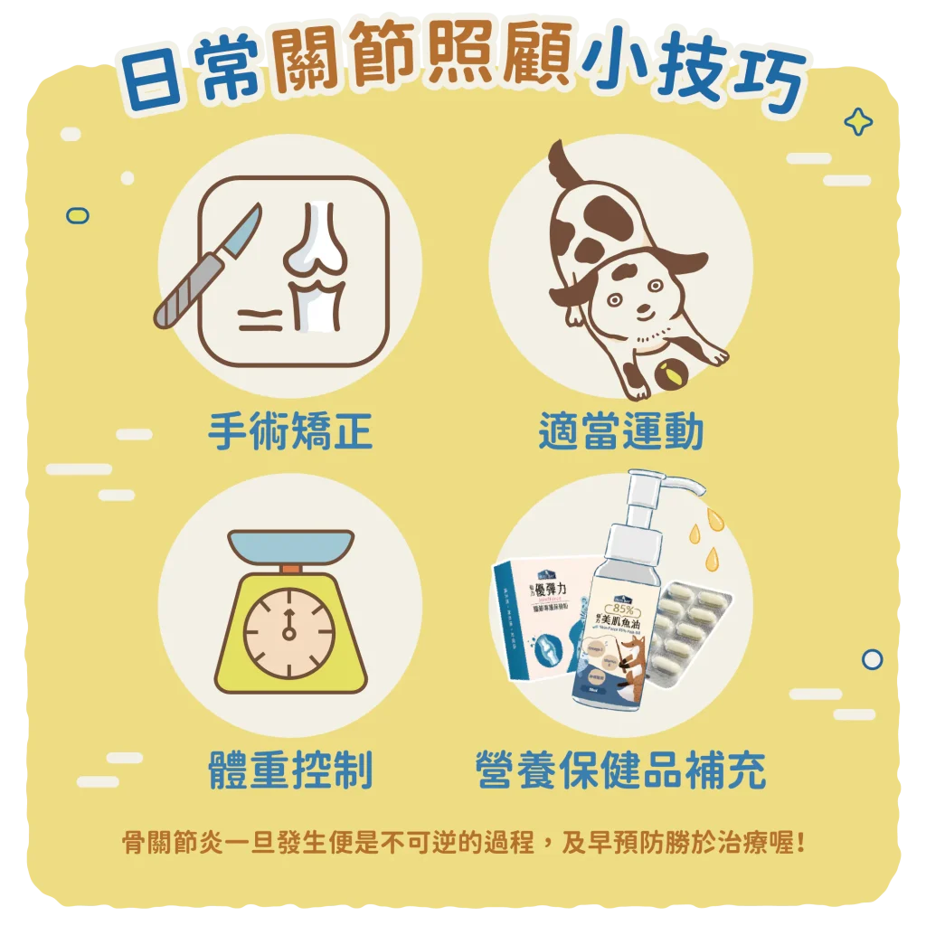 【骨關節的照顧之道】