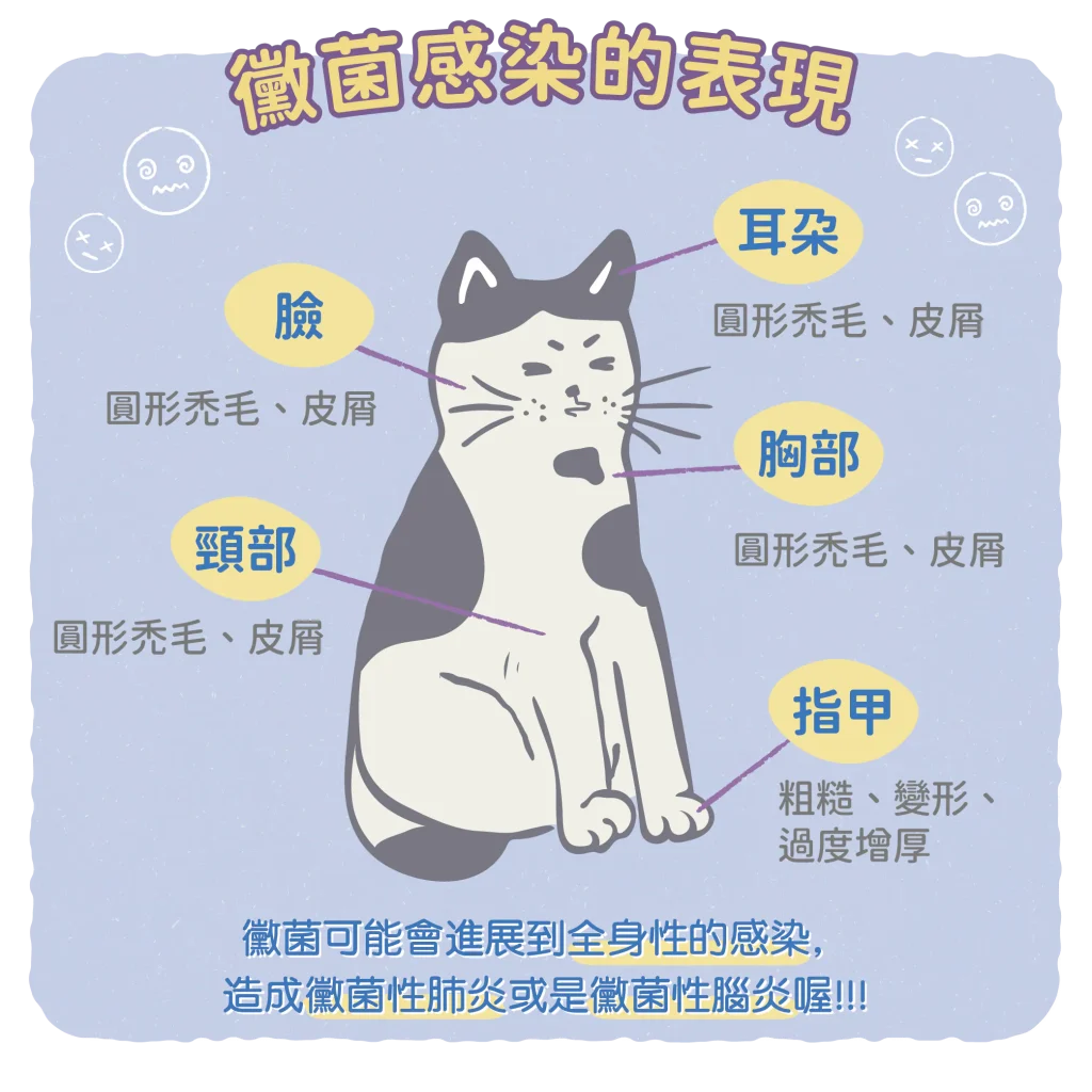 【黴菌感染的表現有那些呢？】