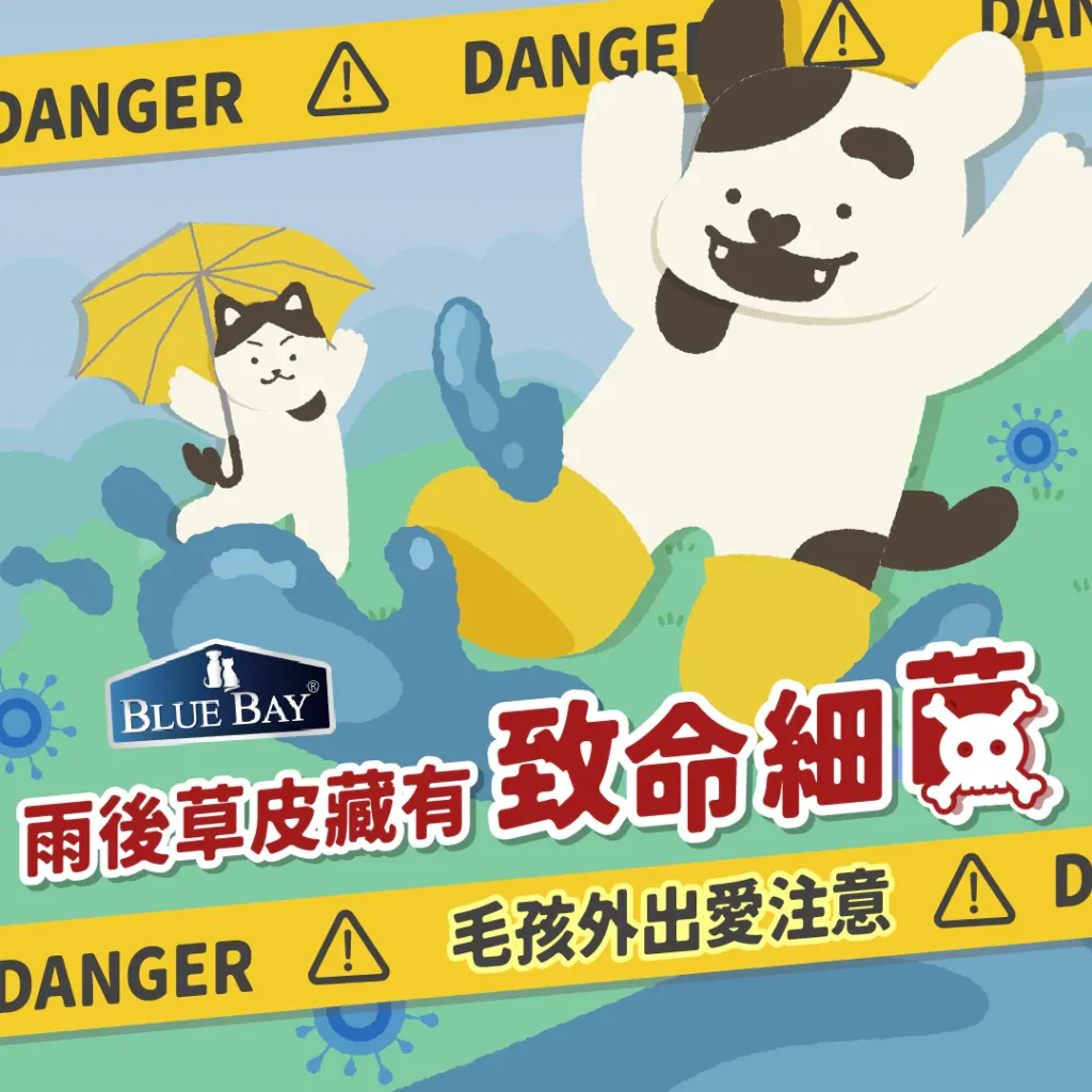 下雨後的草皮藏有致命細菌