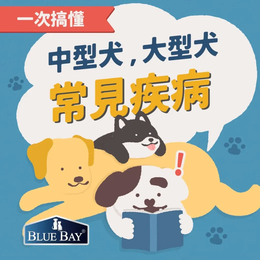 中型犬、大型犬的常見疾病