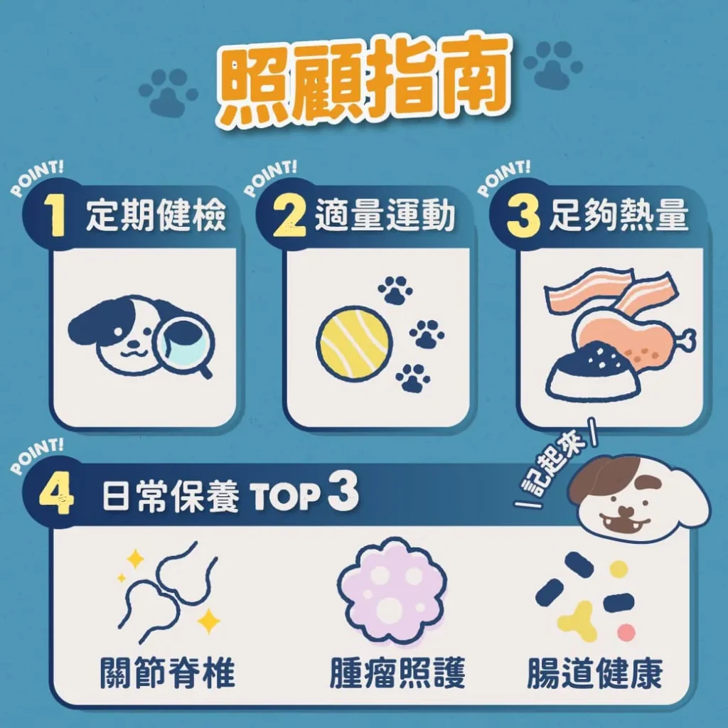 【中大型犬照顧指南】