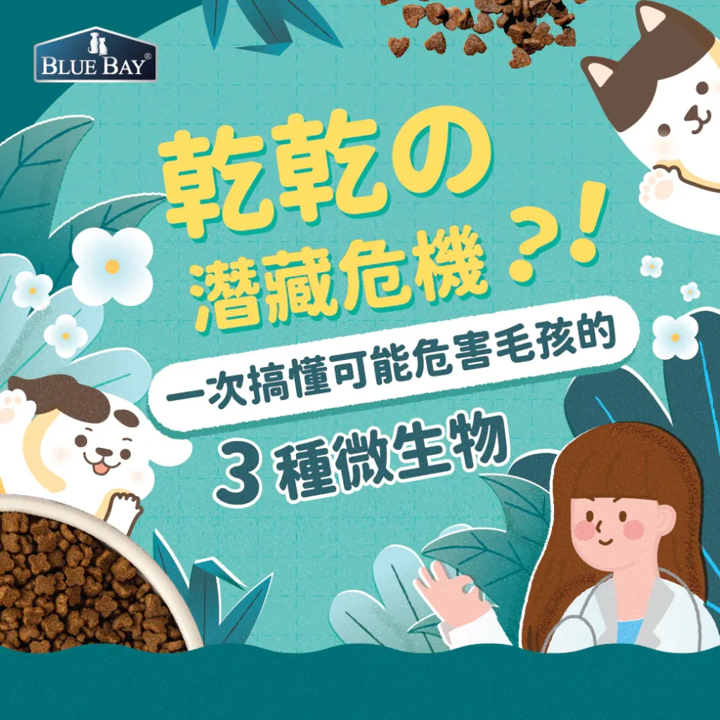 乾乾的潛藏危機！一次搞懂可能危害毛孩的三種微生物！内附預防手冊！
