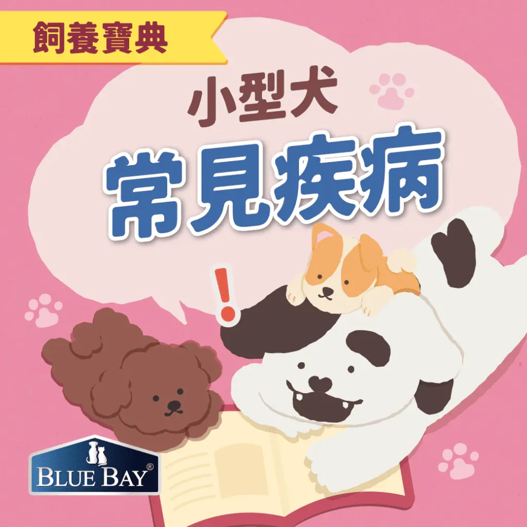 台灣小型犬常見疾病