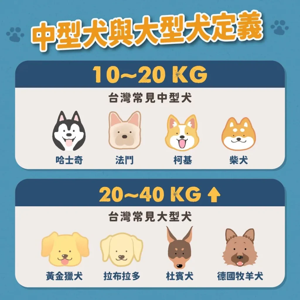 【台灣常見的中大型犬】