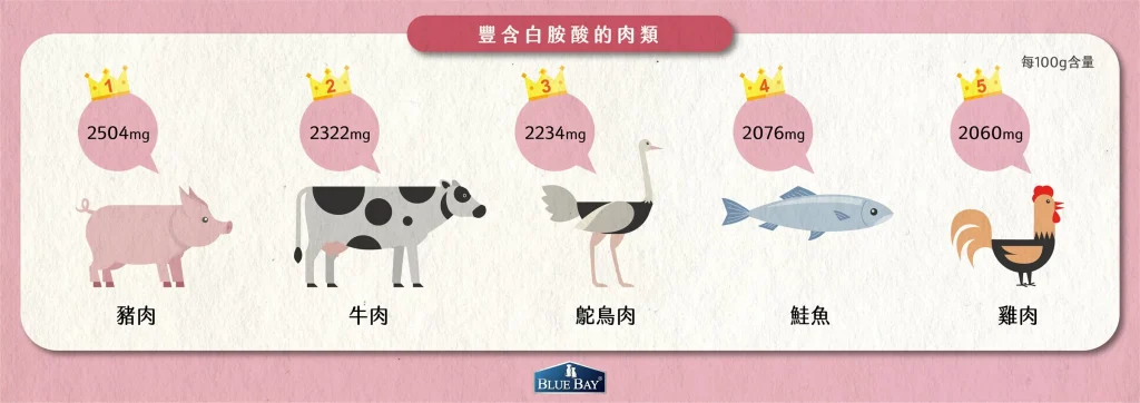 哪些食物富含白胺酸?