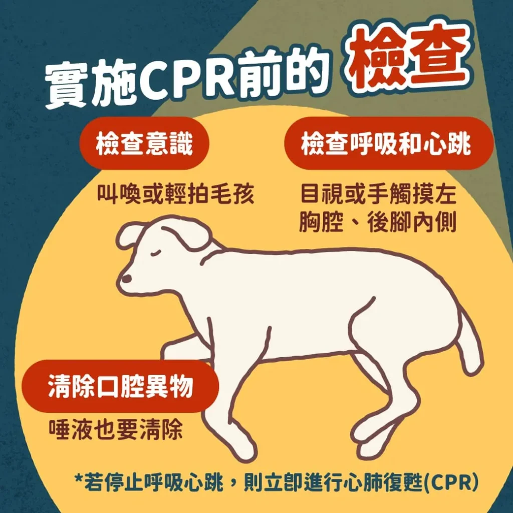 毛孩的CPR步驟-執行CPR前的檢查