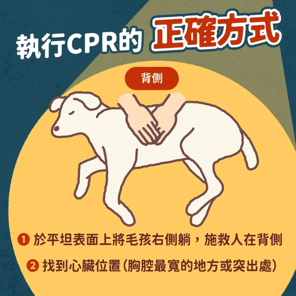 毛孩的CPR步驟