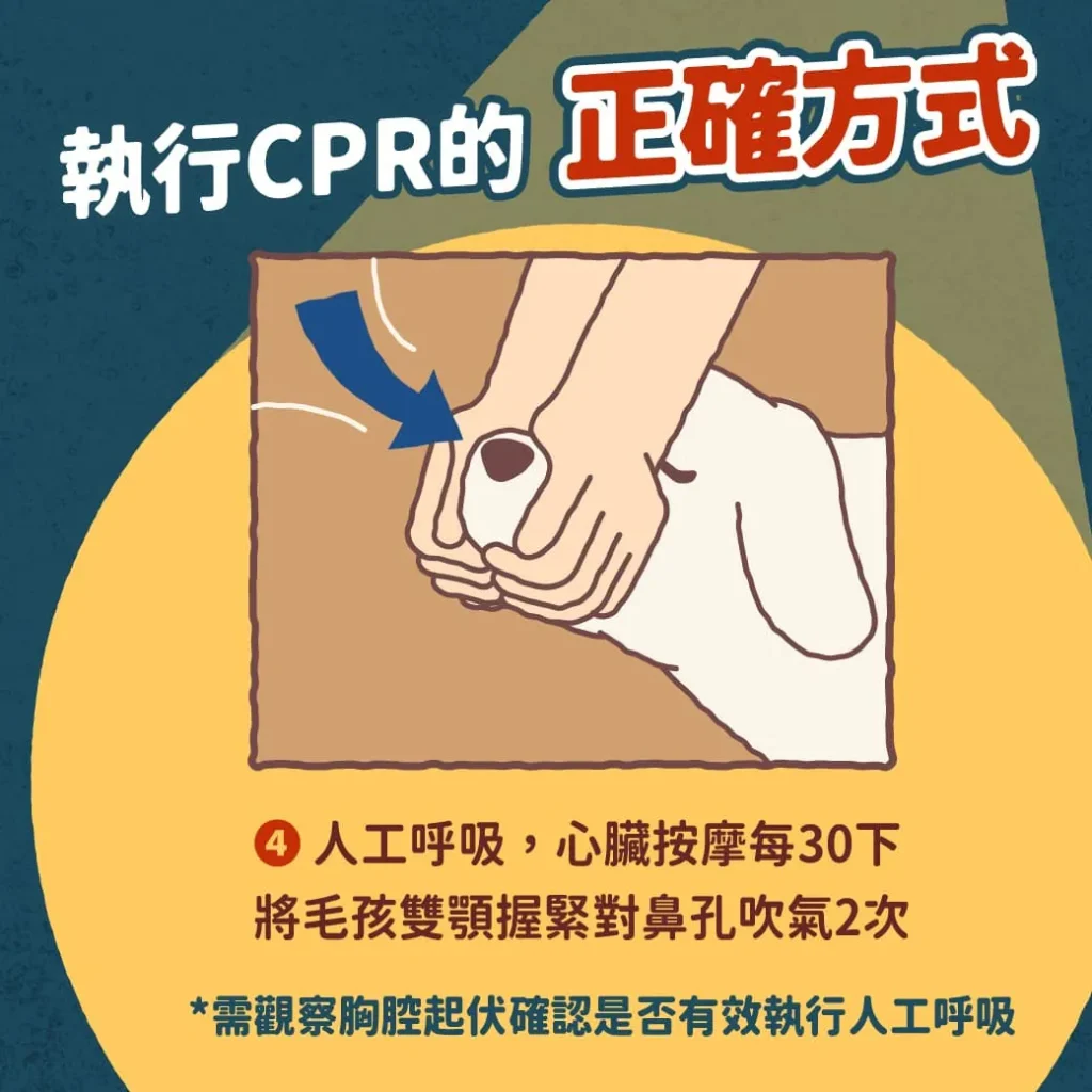 執行CPR前的檢查～人工呼吸