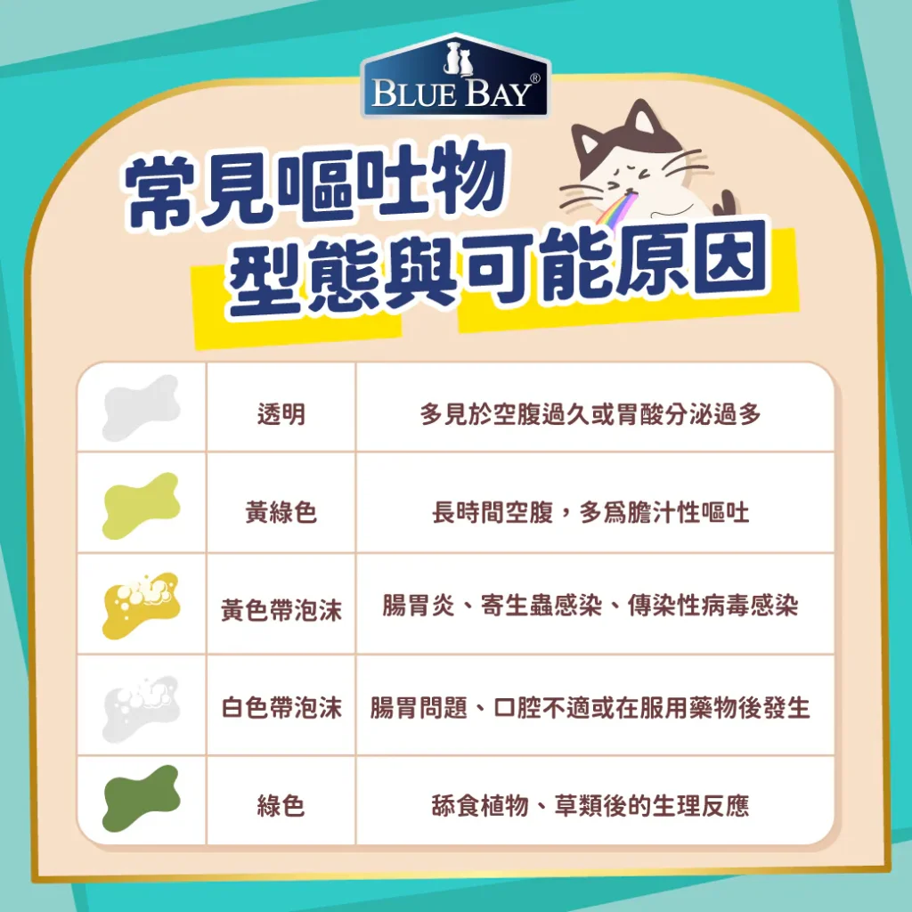 如何判斷貓咪嘔吐狀況？
