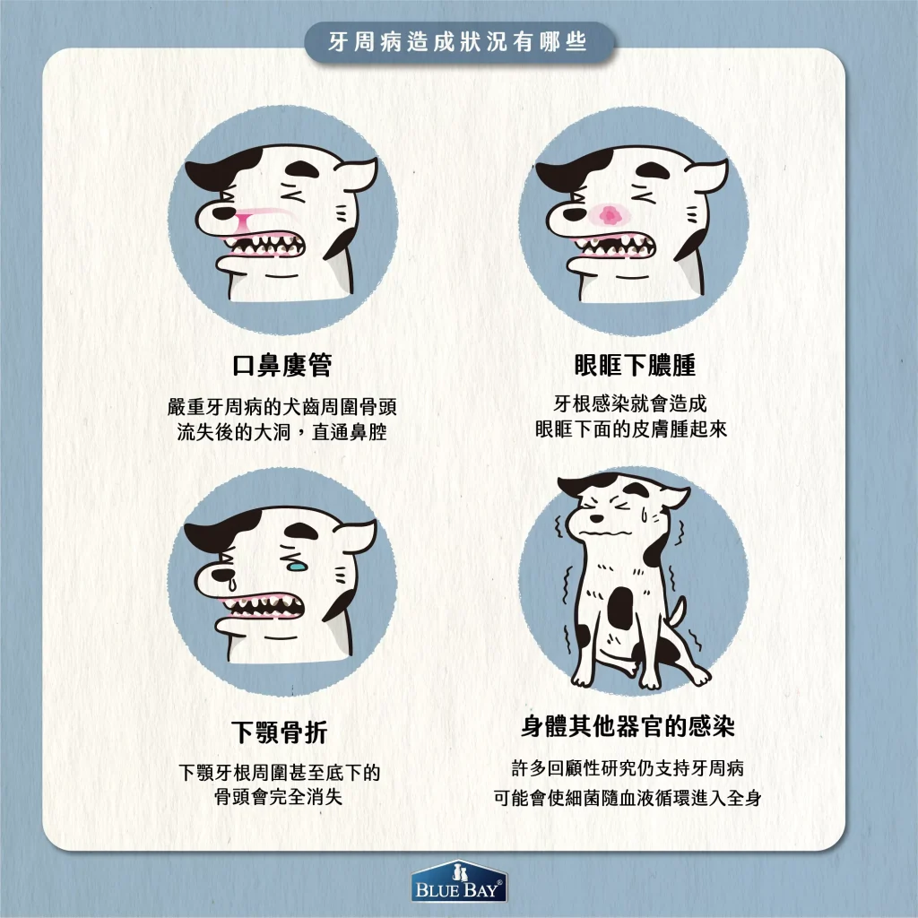 如果有牙周病的狗狗貓咪會出現什麼症狀呢？一定要治療嗎？一直不治療會有什麼後果呢？