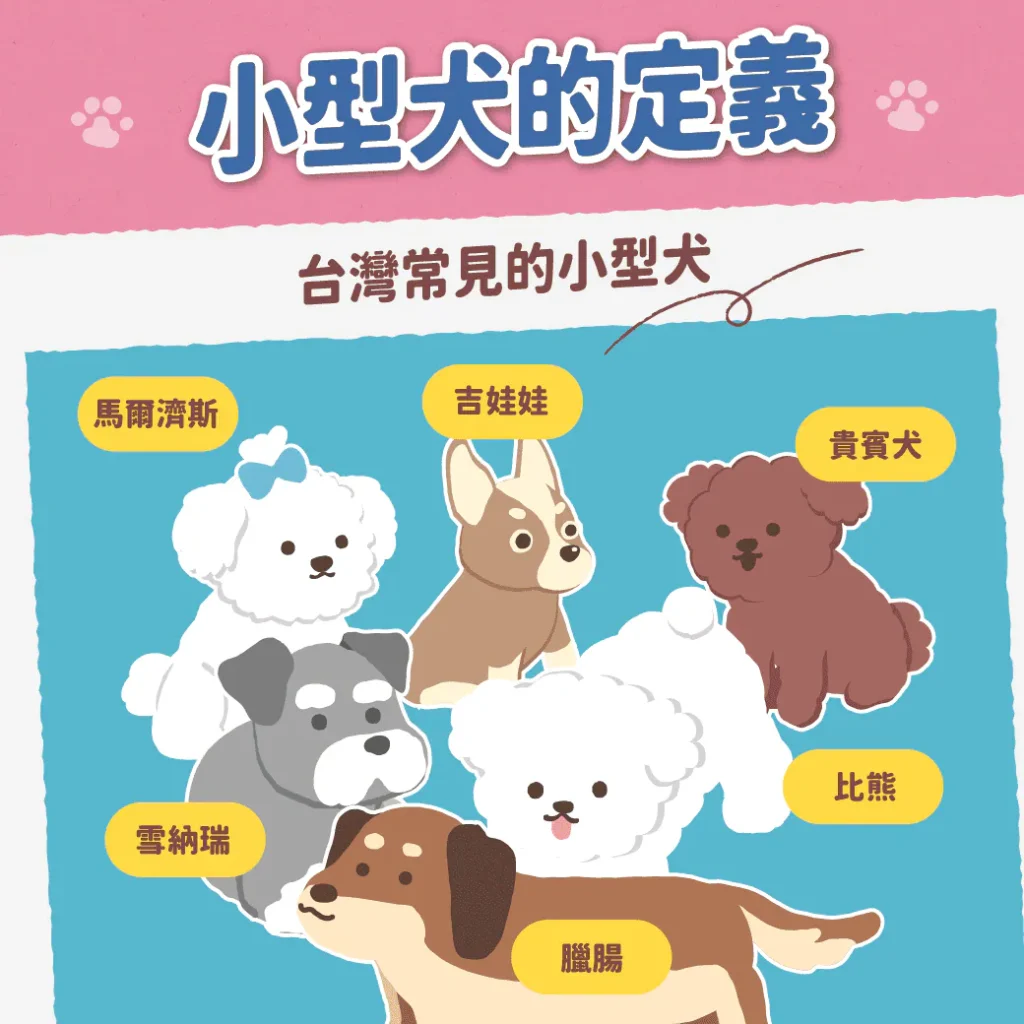 小型犬的定義