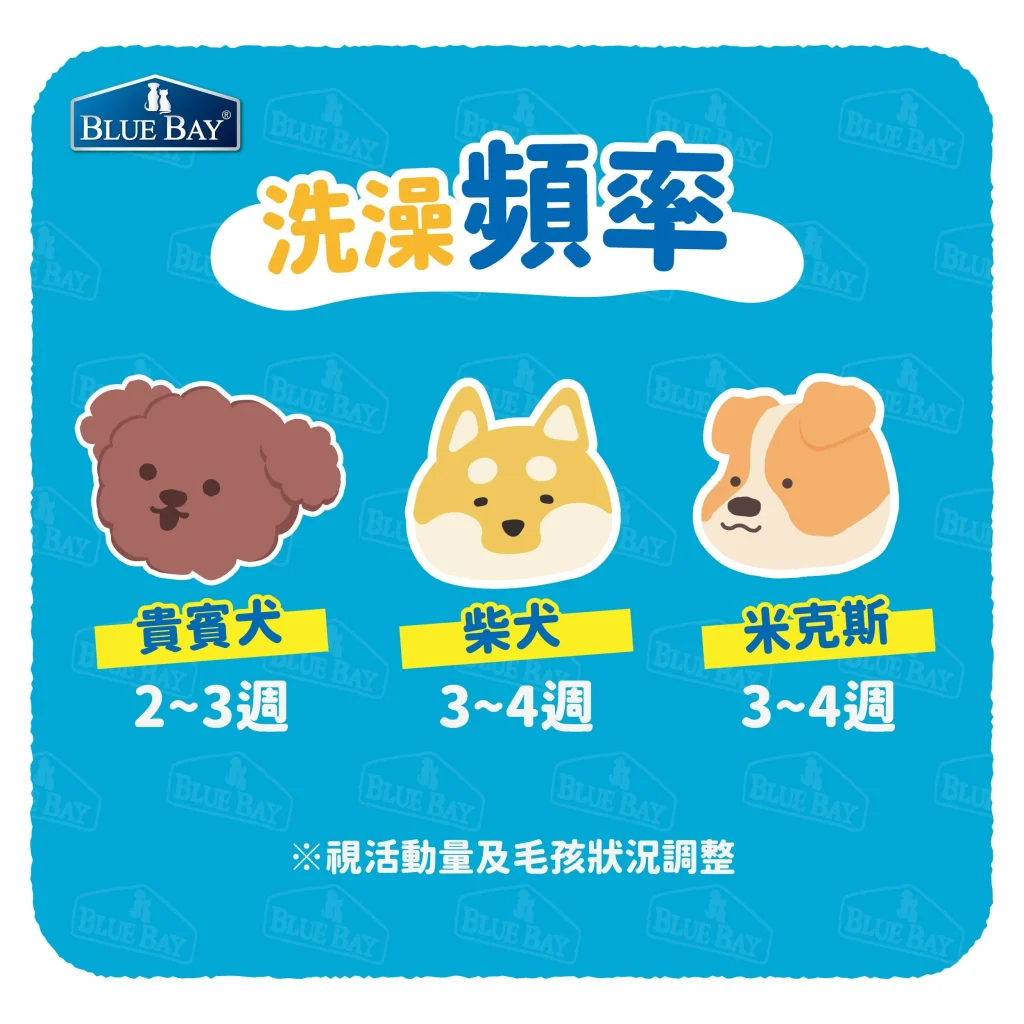 狗狗的洗澡頻率