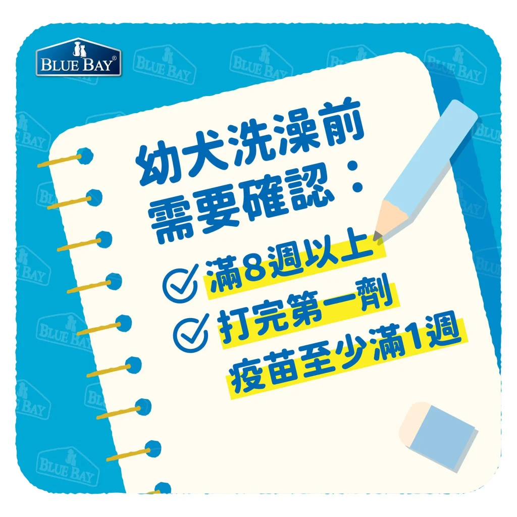 幼犬什麼時候可以洗澡？