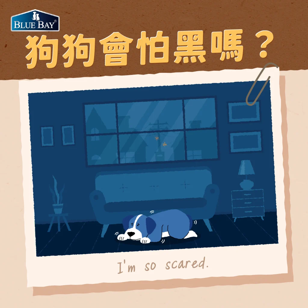 幼犬關籠,狗狗會怕黑嗎