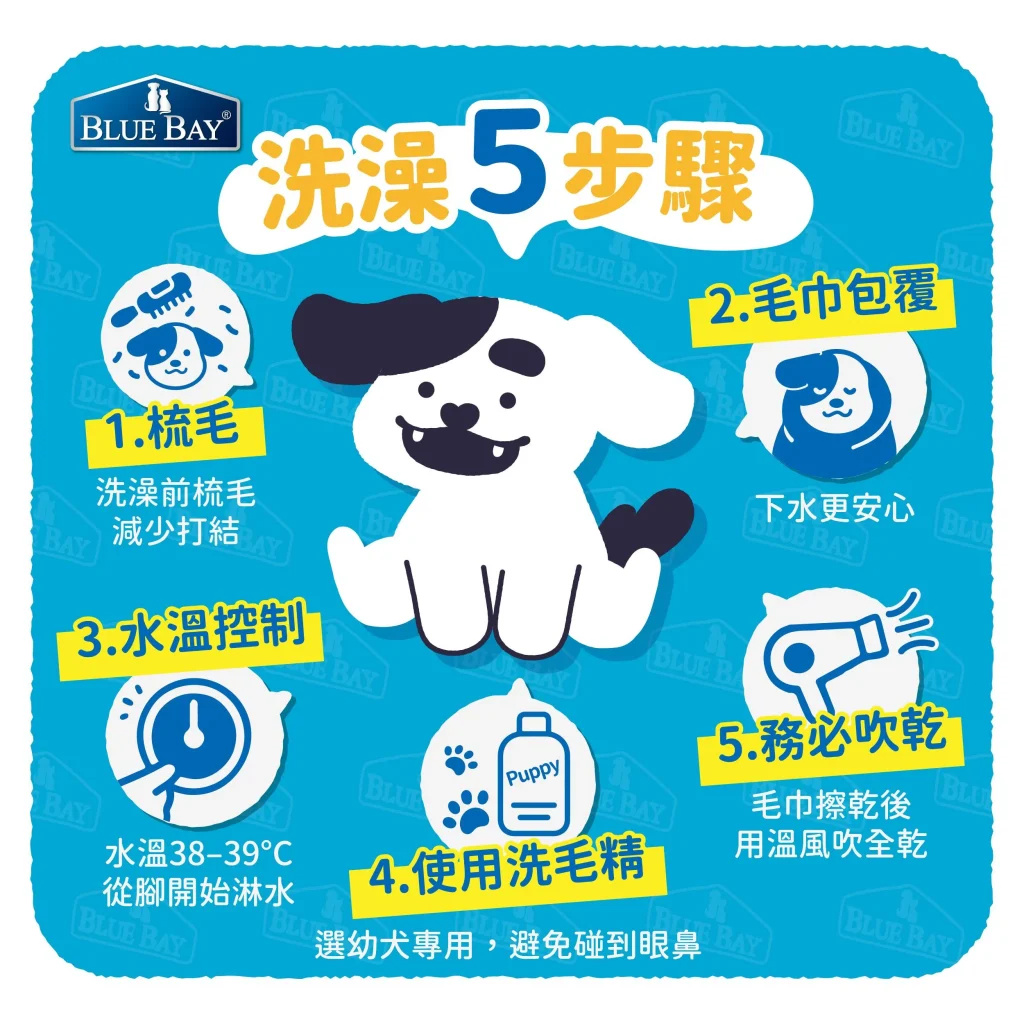 幼犬第一次洗澡超怕水？5步驟讓牠乖乖洗香香