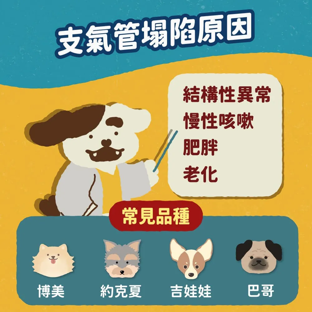 支氣管塌陷的原因