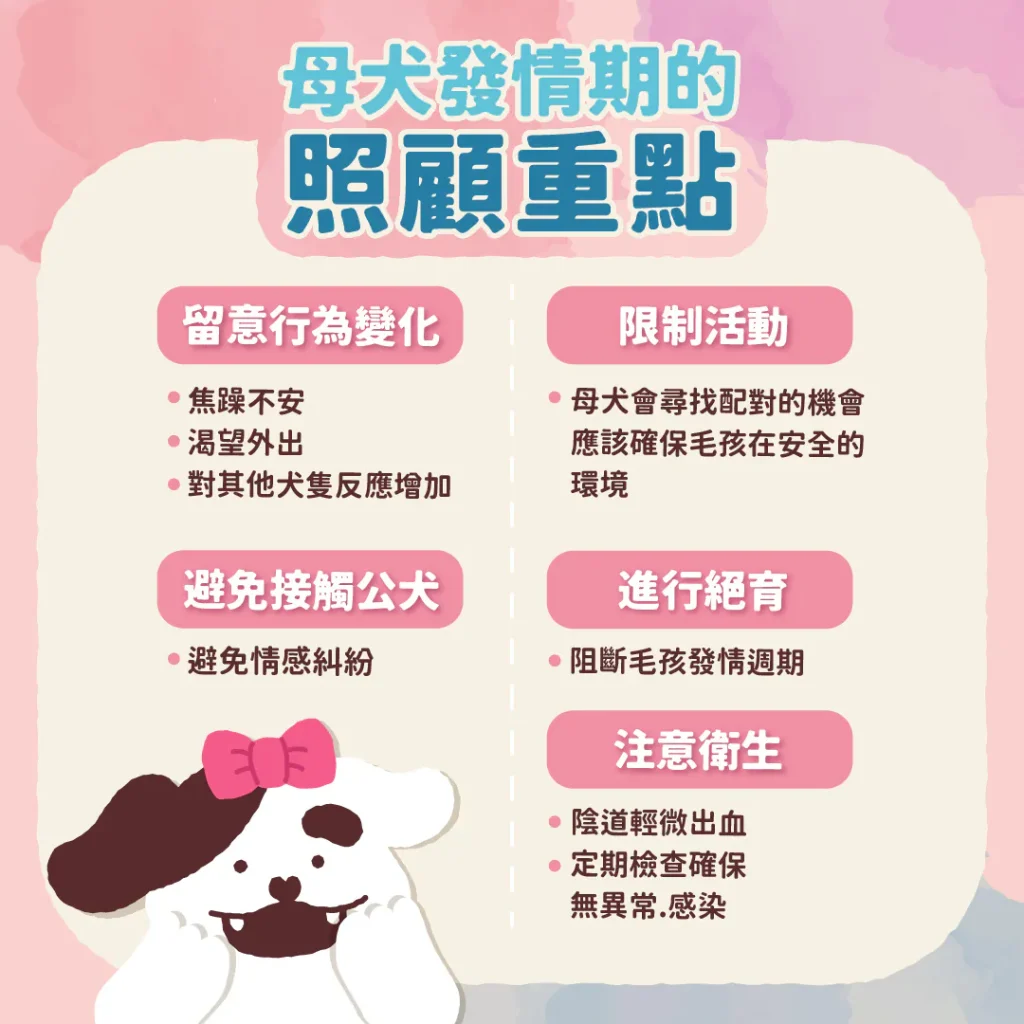 母犬發情期的照顧重點