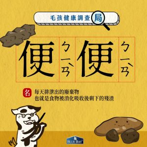 毛孩便便學問多，怎樣才是健康的便便？