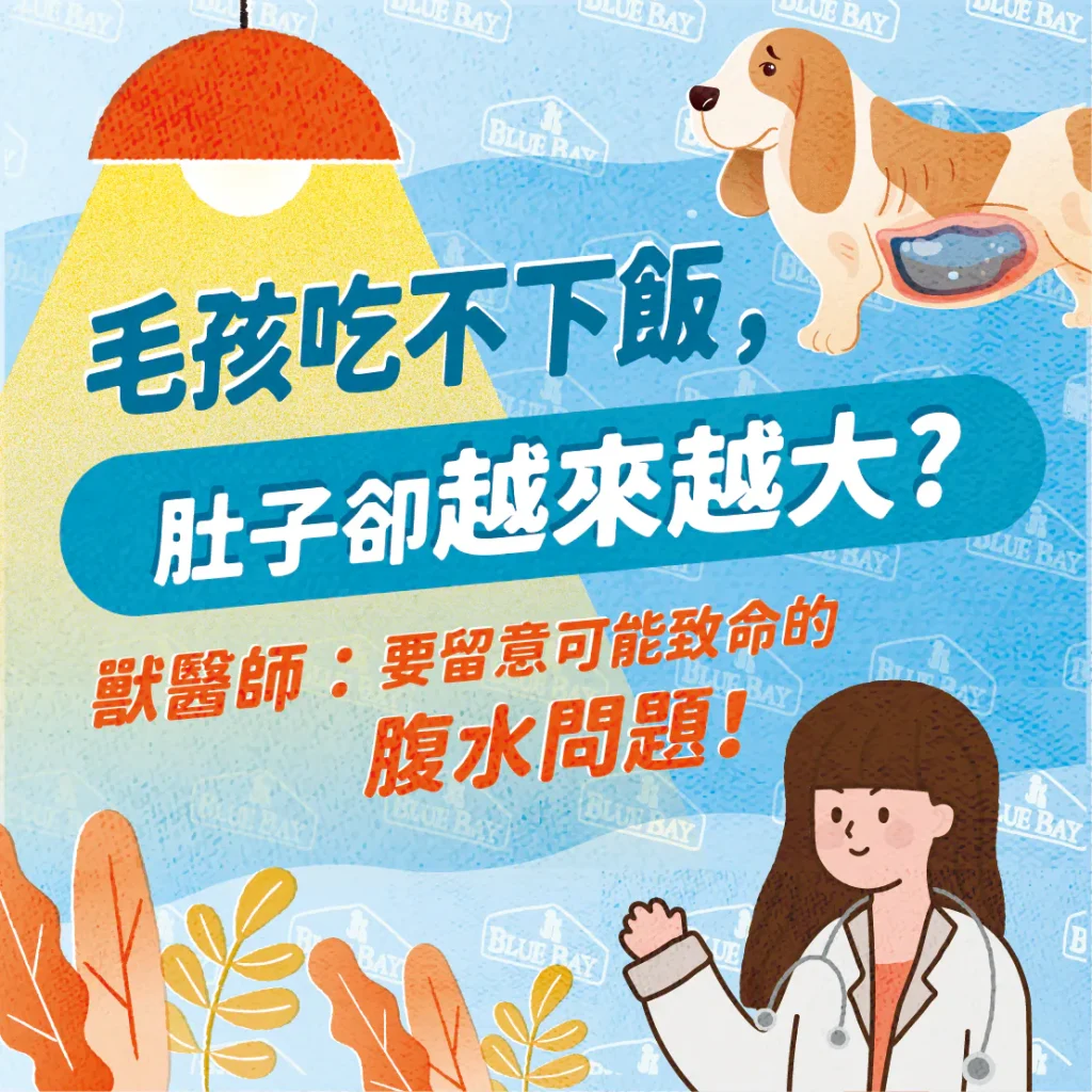 毛孩吃不下飯？