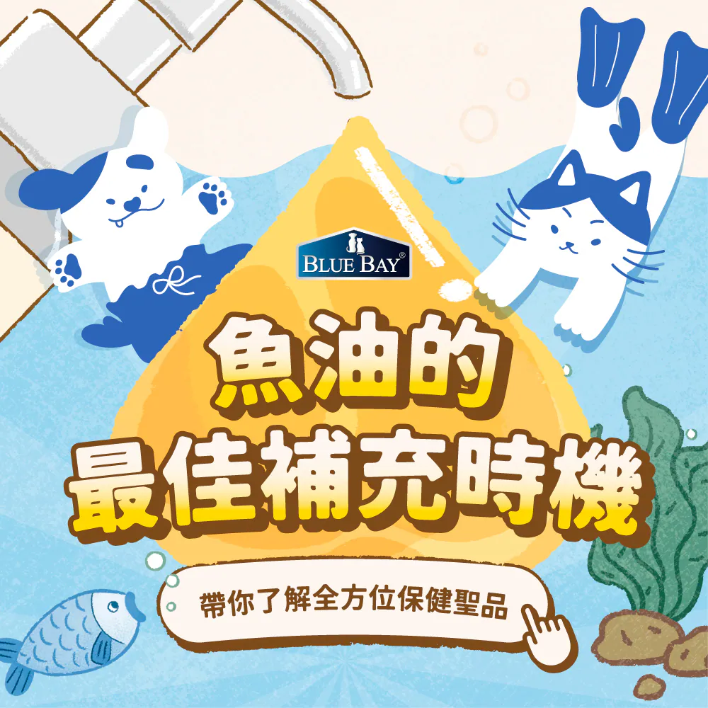 毛孩換毛、皮膚過敏怎麼辦