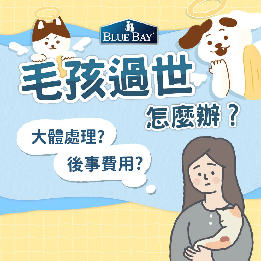 毛孩過世怎麼辦