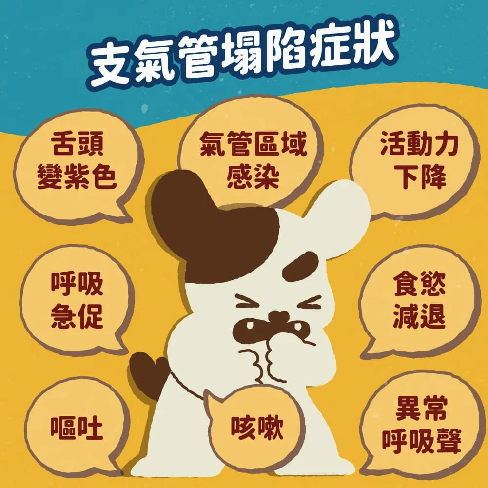 氣管塌陷可能的症狀