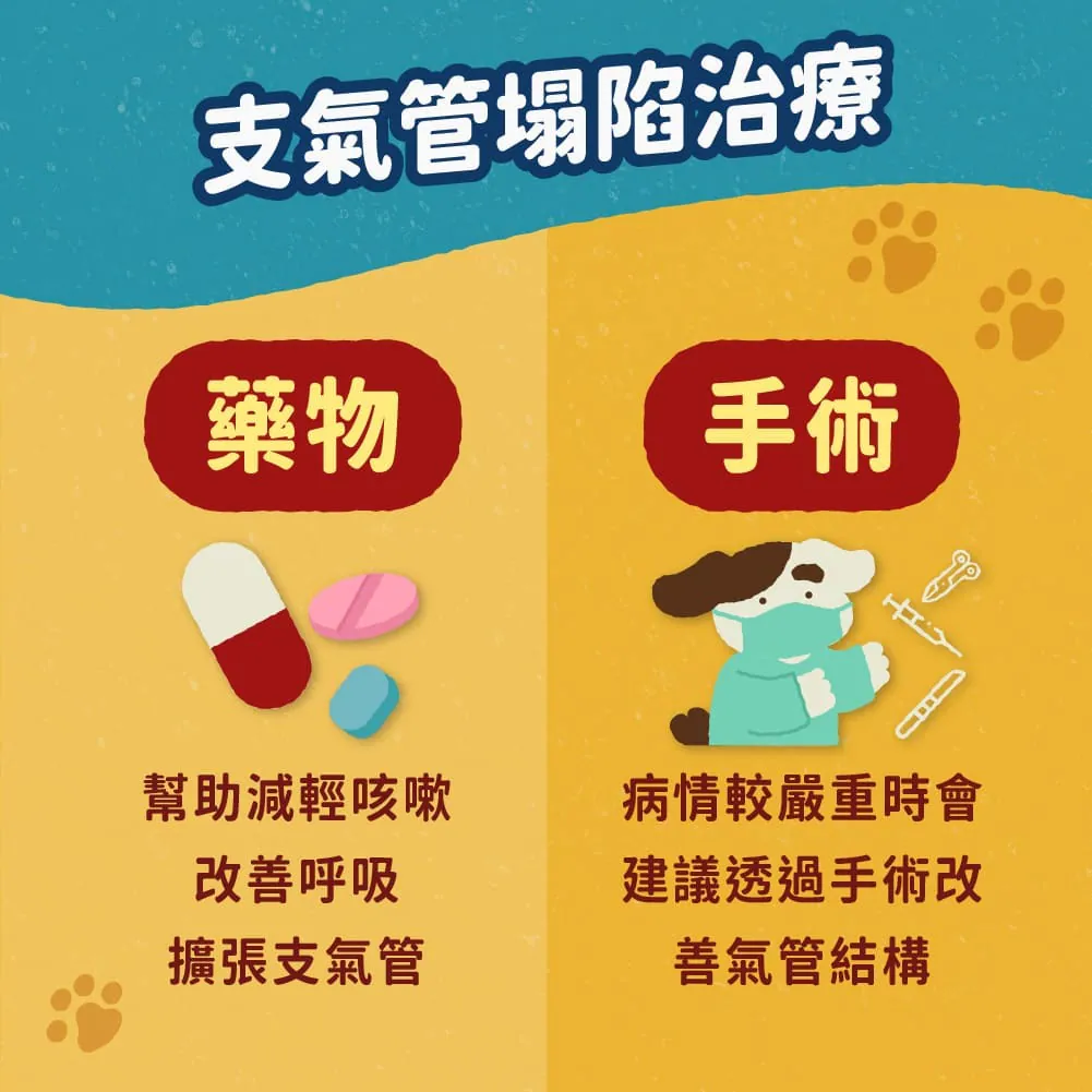 氣管塌陷的治療