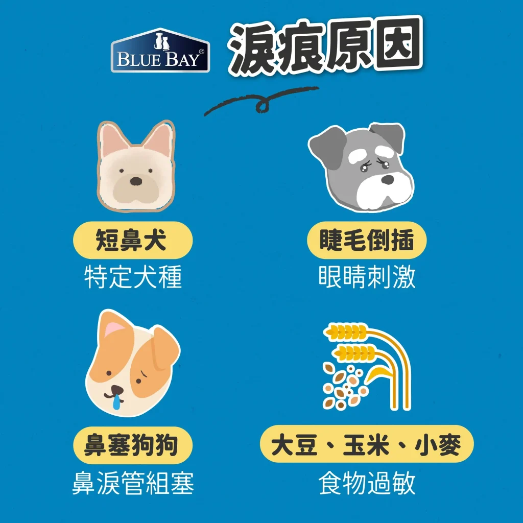 為什麼狗狗臉上一直濕濕的？