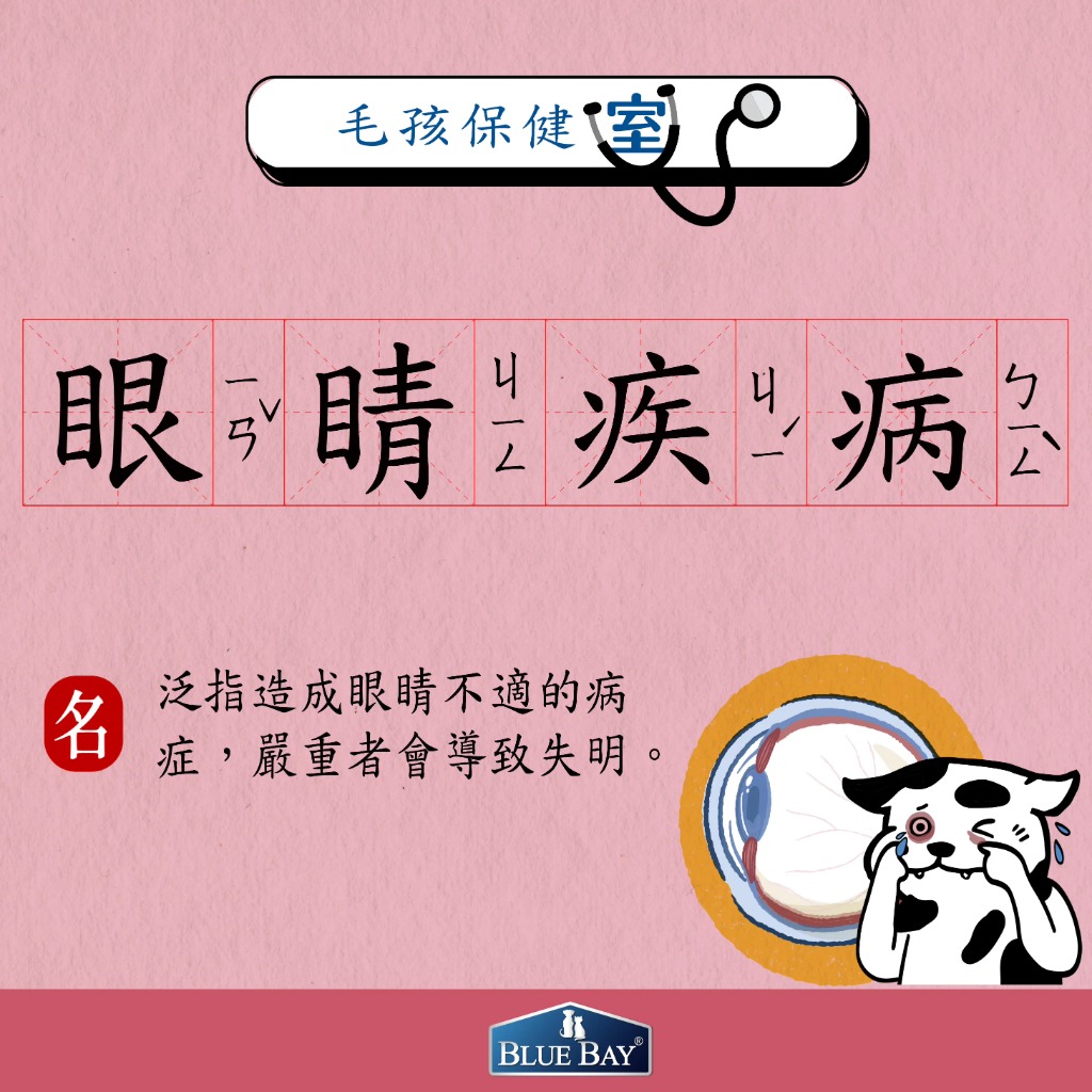 狗狗常見3大眼睛疾病，未及時注意恐失明