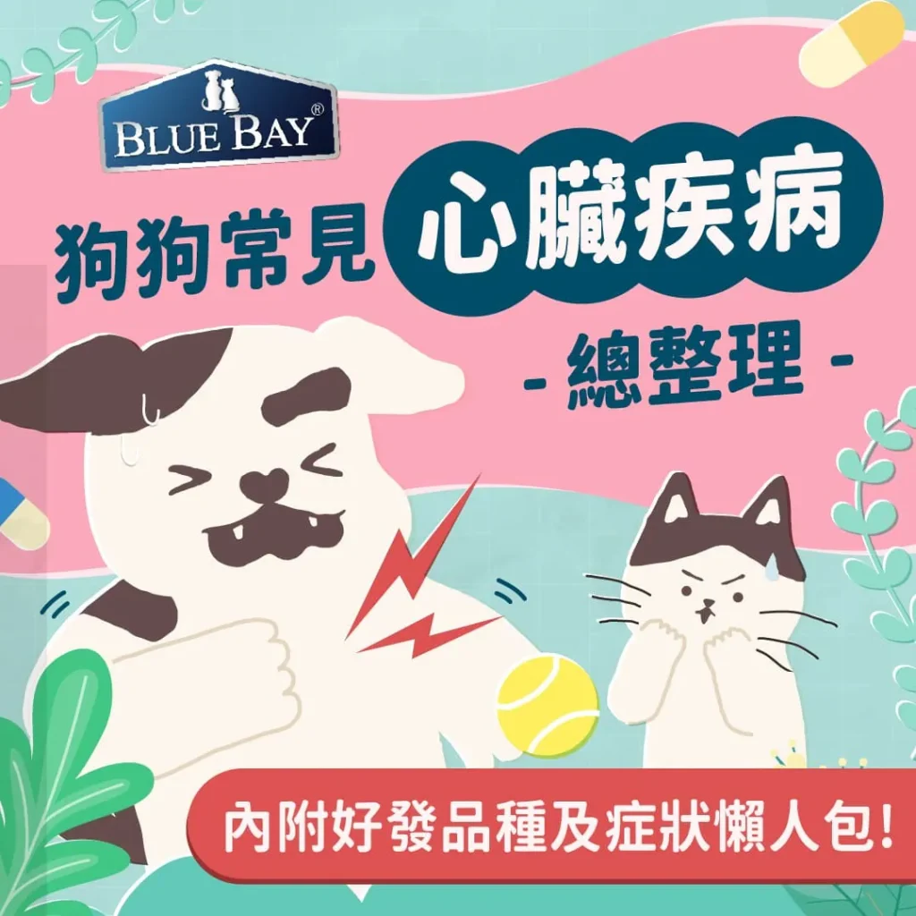 狗狗常見心臟病總整理