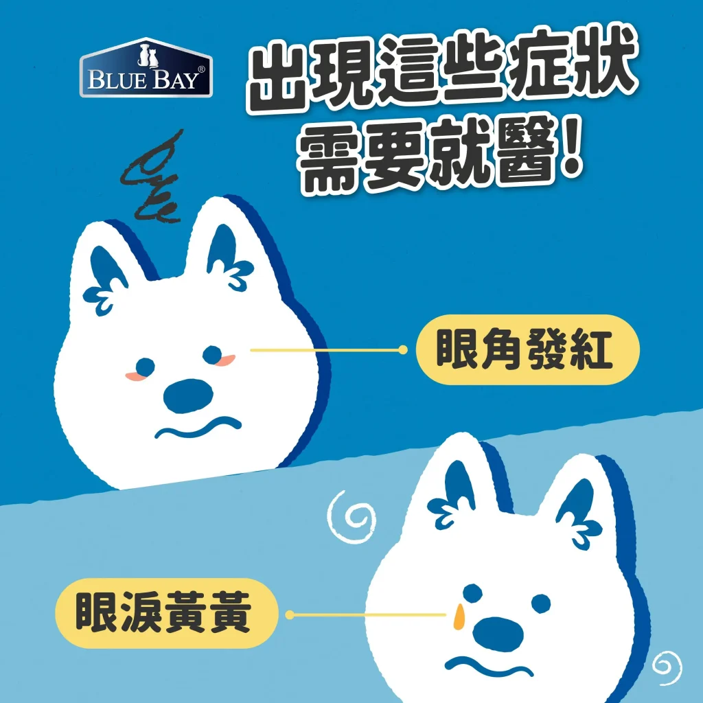 狗狗淚痕越來越嚴重？