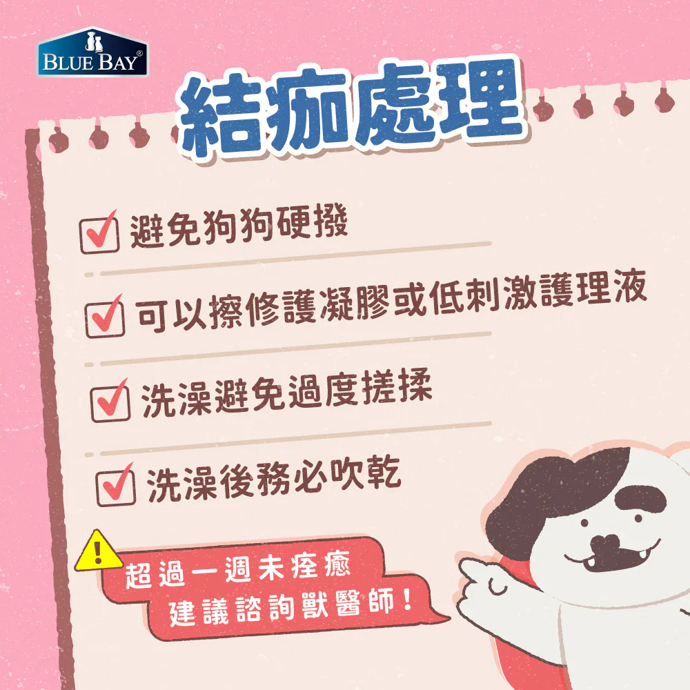 狗狗濕疹結痂怎麼處理？